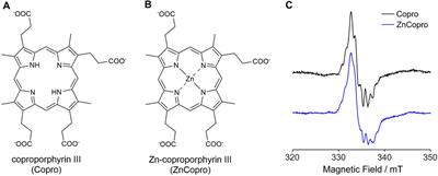 Trapping the substrate radical of heme synthase AhbD